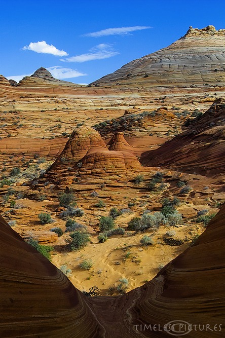 Top-Rock