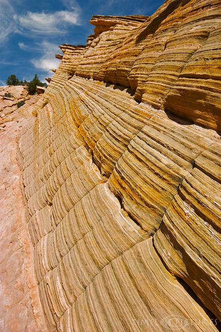 Treasures-of-Southwest