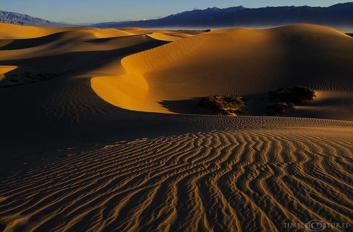 Valley-of-Shadow-and-Death