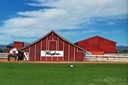 Wanglers-Farm