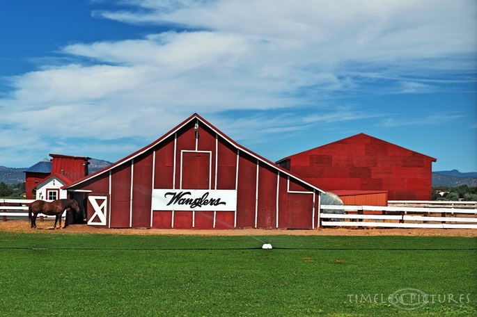 Wanglers-Farm
