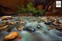 Waterflow