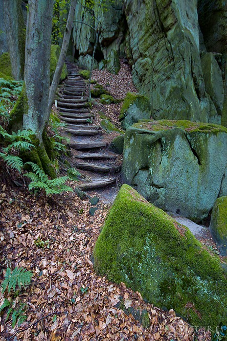 Weg-zur-Räuberhöhle