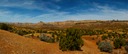 Wild-Henry-Mountains