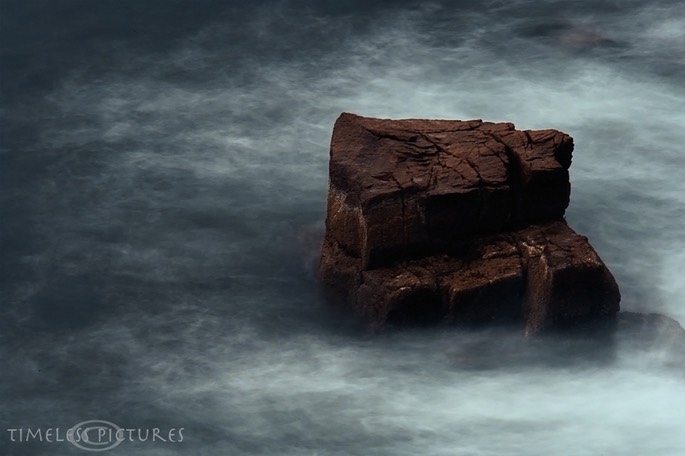 Wild-Ocean