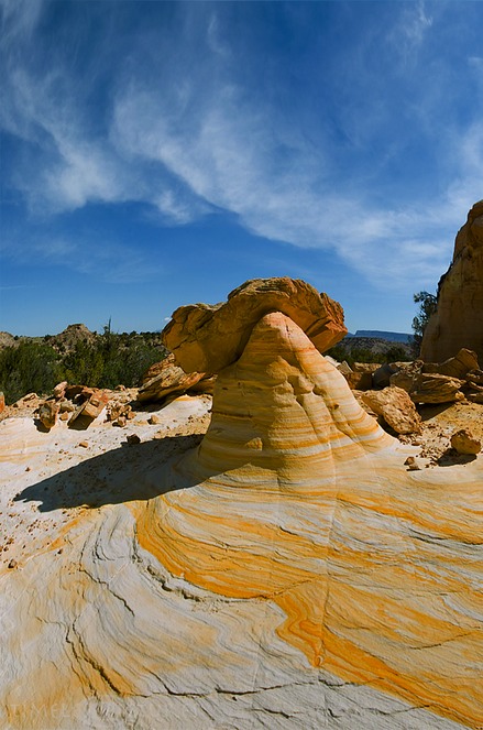 Yellow-Hoddoo
