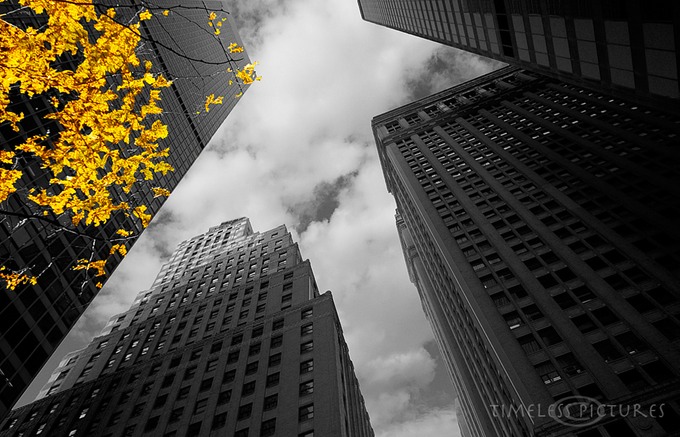 Yellow-Star-IV