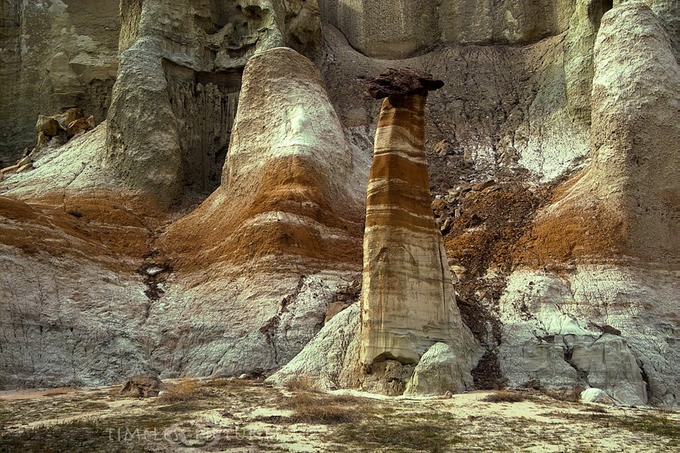 Zebra-Hoodoo